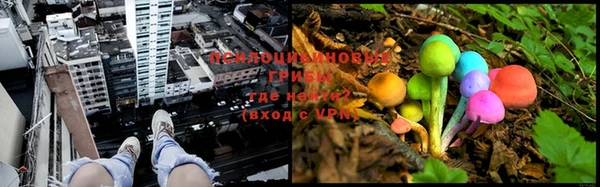 бошки Ханты-Мансийск