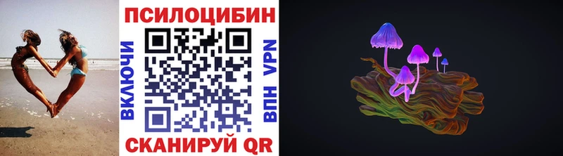 Купить закладки  Балашиха  Галлюциногенные грибы Magic Shrooms 